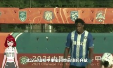 开云体育登录-关于前锋射手榜排名，谁将最终荣登榜首的信息