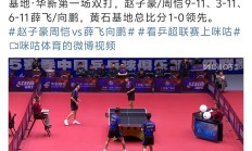 开云平台-顶尖球员展现出众技巧带领球队取胜