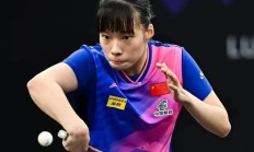 开云体育官网-球员意外表现抢眼，助球队夺冠