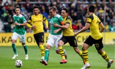 开云APP-奥格斯堡交出一份出色的比赛表现的简单介绍