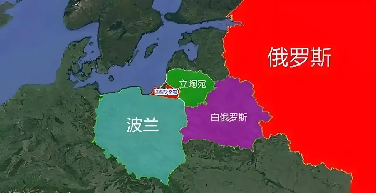 关于波兰-不敌瑞典，出线形势日益严峻的信息