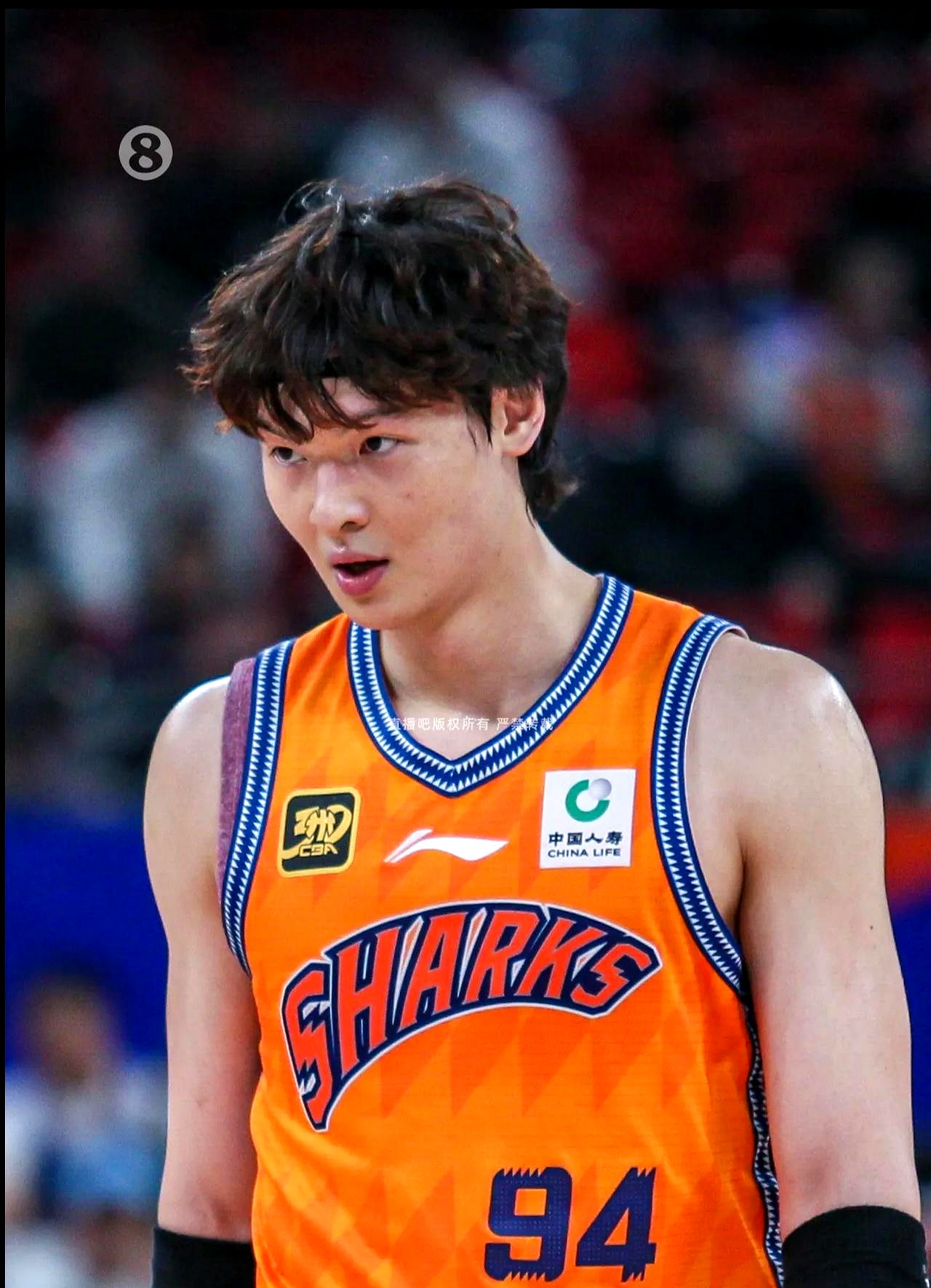 上海男篮兵败如潮，急需调整重振旗鼓