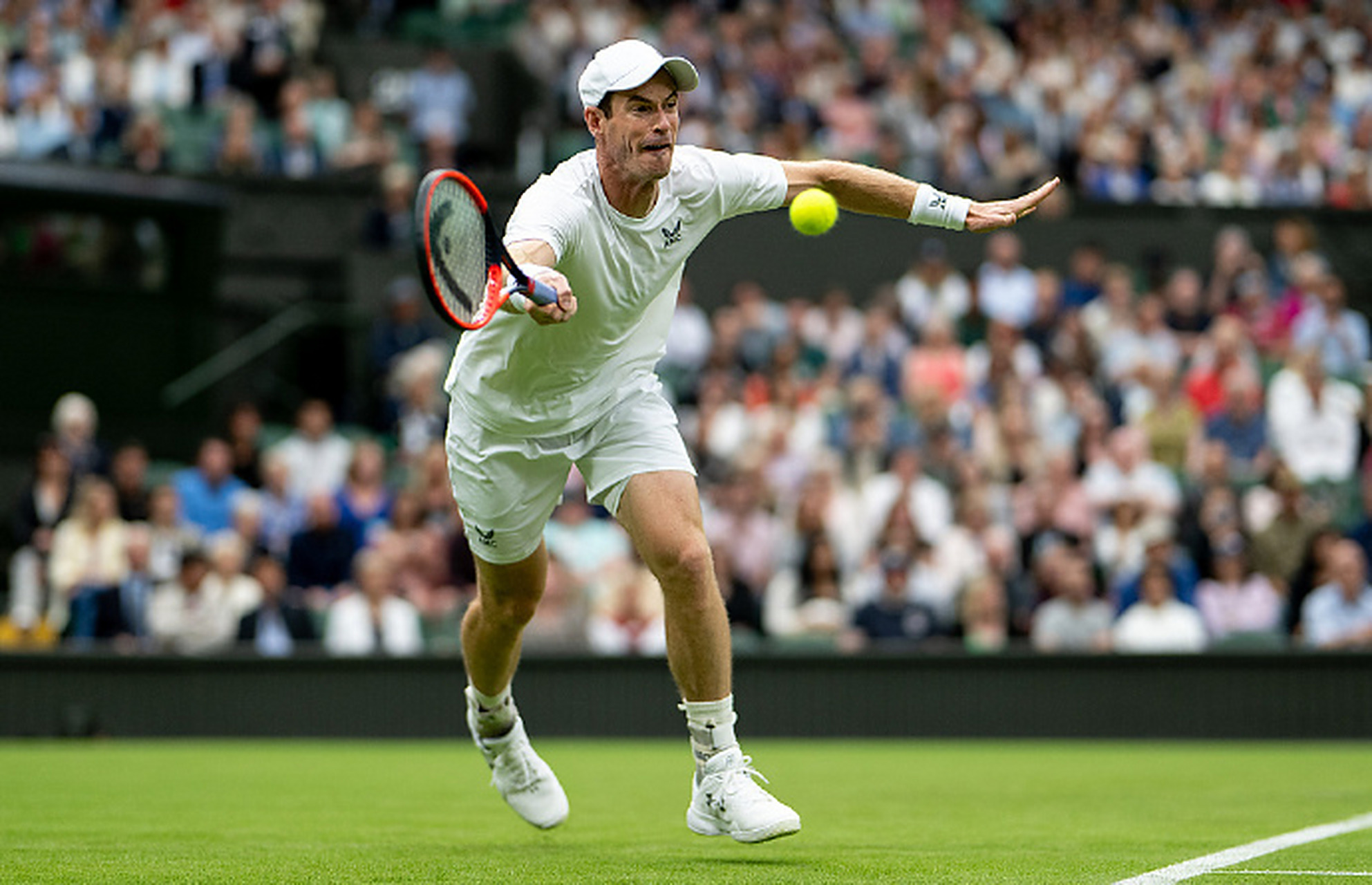 包含法网翻盘ATP总决赛，穆雷状态火热的词条