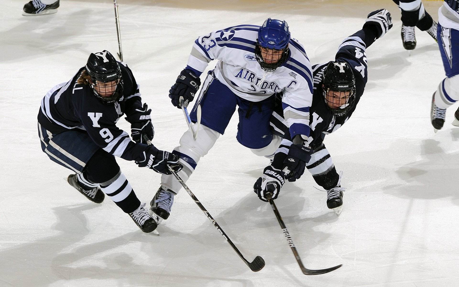 冰山之下，激流之上，塔图姆的稳态美学与雄鹿的团队凯歌
