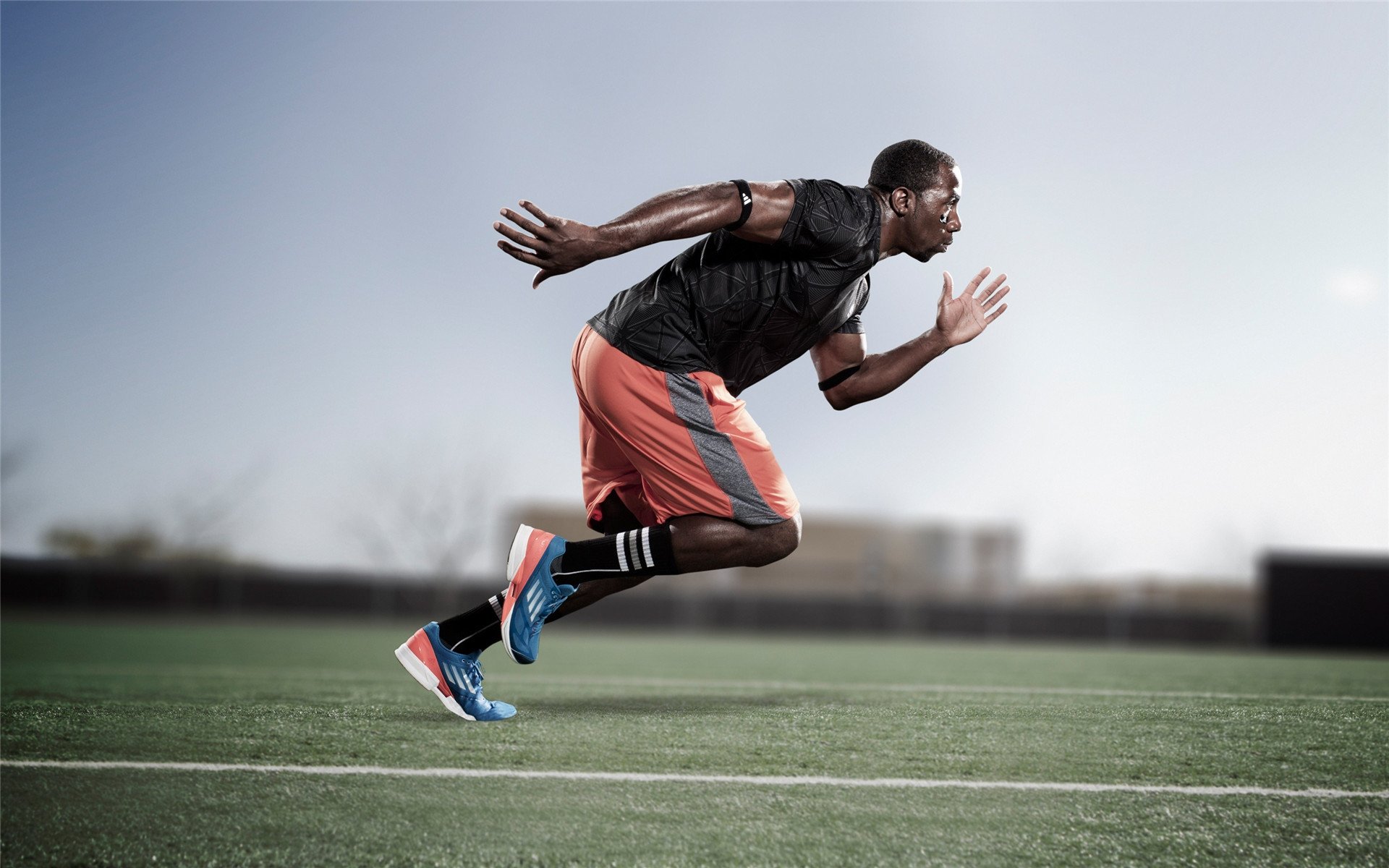 跨联盟巅峰对决,哈利伯顿率辽宁力克森林狼证明自我