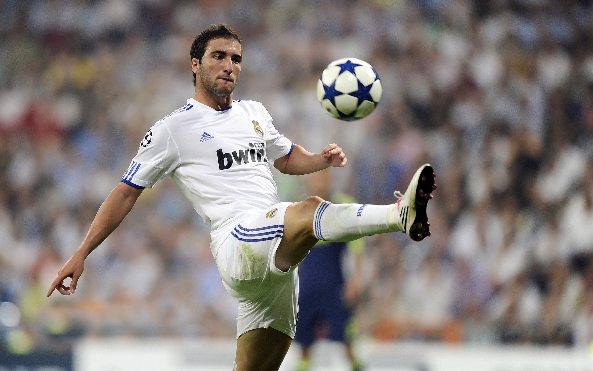 胜负与火焰，绿茵场与球台之间，那抹永不熄灭的光芒